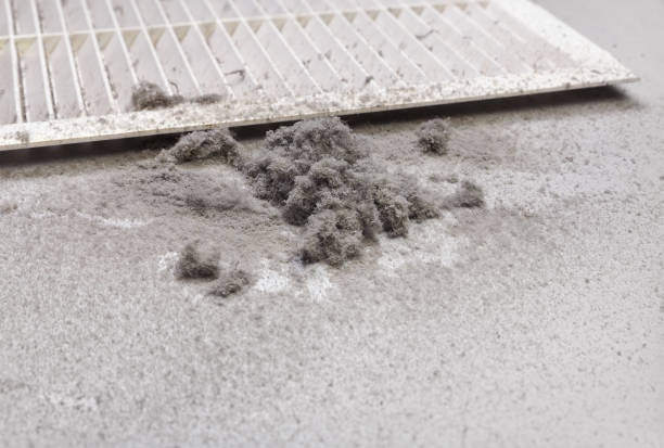 Best Best Air Duct Cleaning Company  in Roman Forest, TX