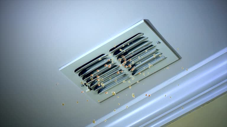Best Affordable Duct Cleaning Services  in Roman Forest, TX