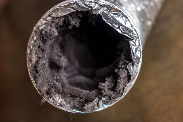 Best HVAC System Cleaning  in Roman Forest, TX