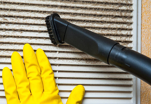 Best Home Air Vent Cleaning  in Roman Forest, TX